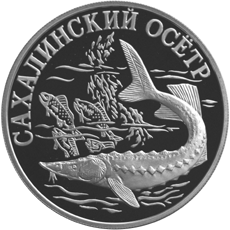 Серебряная юбилейная монета 1 рубль 2001 года Cахалинский осетр Серия : Красная книга